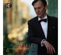 Bruce Levingston - Still Sound