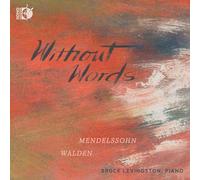 Bruce Levingston - Without Words