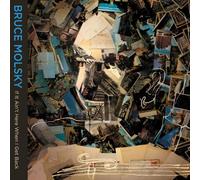 BRUCE MOLSKY - If It Ain't Here When I Get Back
