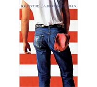 Bruce Springsteen Born in the USA Poster in Red Bruce Springsteen Red