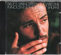 Bruce Springsteen - Wild the Willing & E Street