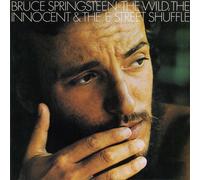 Bruce Springsteen Wild the Willing & E Street (CD) (US IMPORT)