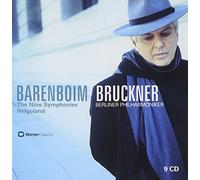 Bruckner:the Nine Symphonies