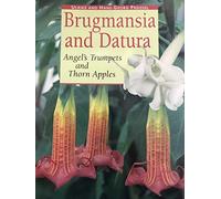 Brugmansia and Datura: Angel's Trumpets and Thorn Apples