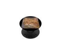 "Bruh" Funny Disappointed Orange Cat Meme Blurry Photo PopSockets Adhesive PopGrip