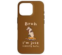 Bruh I'm Just Sitting Here Funny Cat and Dog Humor Case for iPhone 16 Pro
