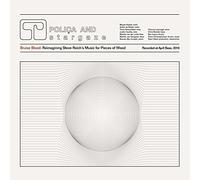 Bruise Blood: Reimagining Steve Reich's Music For Pieces Of Wood [VINYL]