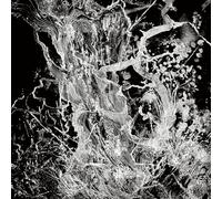 Bruit - Monolith Ep (the Fall Clear Vinyl ed.) [VINYL]