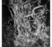 Bruit – Monolith – 12" Vinyl (2026) – Cargo Records
