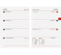 BRUNNEN 1073127001 Timer Ring Binder Insert Model 731, 2 Pages = 1 Week, 10 x 14 cm, Calendar 2021