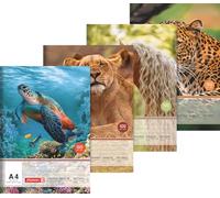 BRUNNEN Drawing Pad | A4, 20 Sheets, Assorted