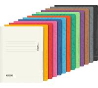 BRUNNEN File Folder Set FACT!plus | A4, Filling Height: 10 mm, Assorted (Pack of 13)