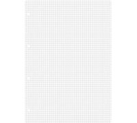 Brunnen Ring Binder Pad A4 Squared 100 Sheets