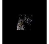 Brunnen - The Garden Of Perpetual Dreams [VINYL]