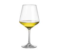 Brunner Tritan Plastic Red Wine Riserva 45 lasses - Pack of Two