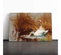 Bruno Liljefors Swans Canvas Print | Gallery Wrapped 30mm Frame Wall Art | 20x14 inches | Ready to Hang | Modern Bird Picture | Living Room Bedroom Lounge Office