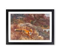 Bruno Liljefors The Fox Hunt Vol.2 Framed Print | A2 Oak Framed Wall Art | Ready to Hang | Modern Animal Picture | Living Room Bedroom Lounge Office