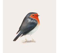 Brunori Sas Cip (Vinyl) (US IMPORT)