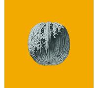 Brunori SAS L’ALBERO DELLE NOCI (LP DELUXE COLORATO) (Vinyl)