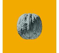 Brunori SAS L’ALBERO DELLE NOCI (LP DELUXE COLORATO) (Vinyl)