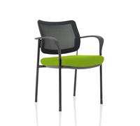Brunswick Deluxe Mesh Back Black Frame Bespoke Colour Seat Myrrh Green with Arms