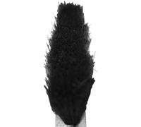 Brush Pile Black Draught Brush Gasket Seal for Upvc 6.9mm x 13mm High