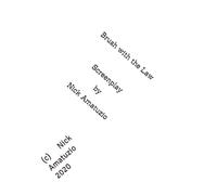 Brush with the Law - The Screenplay