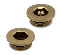 Brushed Brass Bleed Valve & Blanking Plug Set for Radiators & Towel Rails ½" BSP
