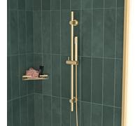 Brushed Brass Round Wall Mounted Slider Rail Shower Kit with Handset