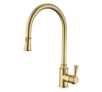 Brushed Brass Single Lever Pull Out Traditional Monobloc Kitchen Mixer Tap - Enza Evelyn