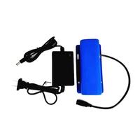 Brushed/Brushless Vibrating Motor with/without Regulator Governor for Warning Systems Massage Bed Chair,DC12V/24V 3000RPM/6000RPM with/without Power (12V Motor+Power)