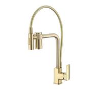 Brushed Gold 3 Way Kitchen Sink Faucet with Pull Out Osmosis Dual Handles Drinking Water Filter Modern Stylish and Functional Kitchen Tap