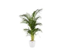 elho Brussels Round 22 - Flower Pot for Indoor - 100% Recycled Plastic - Ø 22.3 x H 20.6 cm - White/White