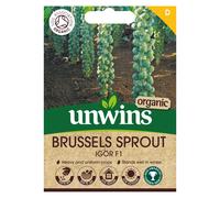 Brussels Sprout Igor F1 (Organic)