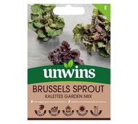 Brussels Sprout Kalettes Garden Mix