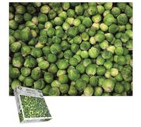 Brussels Sprouts 1000 Piece Jigsaw Puzzle - Funny for Adults & Kids - Challenging Holiday Brain Teaser - Secret Santa Stocking Filler - Novelty Sprout Game