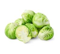 Brussels Sprouts Plants, 'Trafalgar', 10 x Plant Pack, Winter Vegetable Plants, Sprouts, Winter Brussel Sprouts, Garden Ready and Ready to Plant, Premium Quality Garden Vegetables