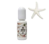 Brussels08 10g/Bottle UV Resin Liquid Pigment White, Compatible with Light Metals, Plaster, Wax, Soap, Epoxy & Urethane Resins, Ideal for Jewelry Making & Crafts