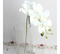 Brussels08 1Pc 7-Heads Artificial Butterfly Orchid Flower Fake Orchid Flower Stem Plants Decorative Artificial Phalaenopsis Flowers for Wedding Party Home Decor White