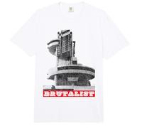 Brutalist Architecture/Architecture Student Present Comfort Colors Adult Heavyweight T-Shirt