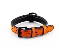 Brute Strength Leather Dog Collar Orange M 36-43 cm