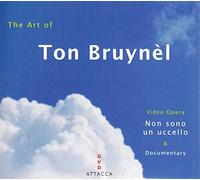 Bruynel, T. - The Art of Ton Bruynel [DVD] [Region 1] [US Import] [NTSC]