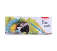 Bruynzeel Colored Pencil Set of 45 Colors in Tin for Drawing, Coloring Books for Adults, Bullet Journaling | Parrot