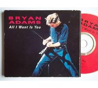 All I want is you (1991, plus 'Long gone [live]', 'Run to you [live]')