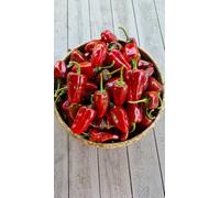 Bryan's Blood Chilli Seeds - 10 Fresh Seeds