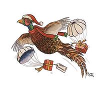 Bryn Parry Cartoon Pheasant Christmas Card. Pheasant Present