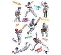 Bryn Parry Cricket Greeting Card. Cricketing Terms