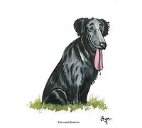 Bryn Parry Flat-coated Retriever Cartoon Dog Greeting Card