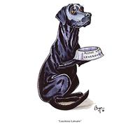 Bryn Parry Lunchtime black labrador dog greeting card