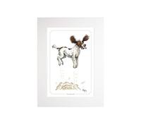 Bryn Parry Springer spaniel cartoon print. Open edition, embossed, collectable mounted and ready to frame